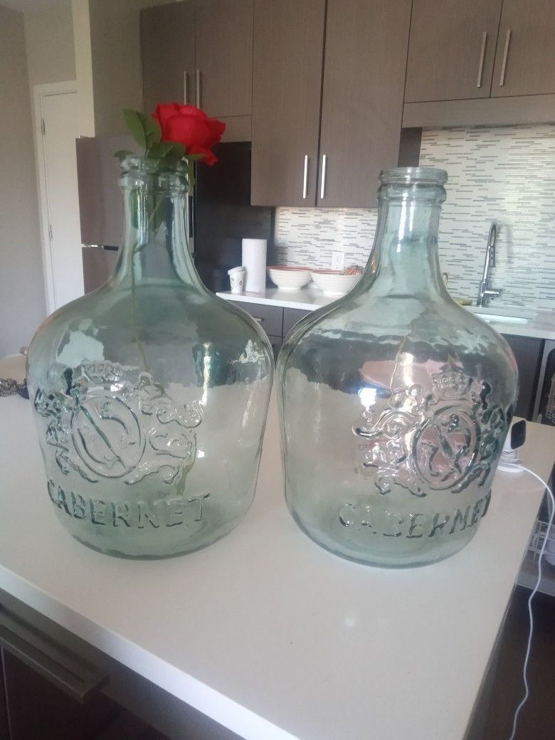 2 Huge Flower Glass Vase