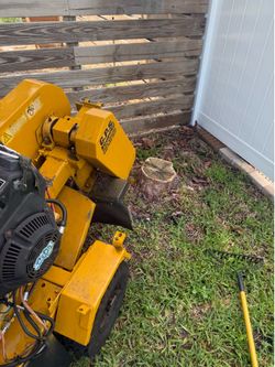 🌴2026 Rayco Stump Grinding 🪵