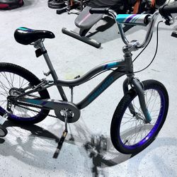 Schwinn Youth Bicycle 