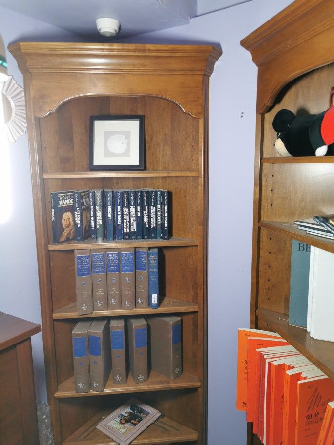 corner bookshelf