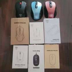 10$ For Any Of The Mouses