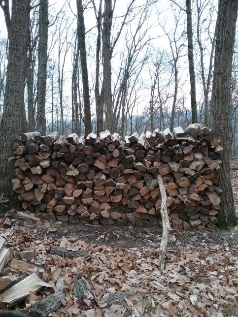 Seasoned Firewood