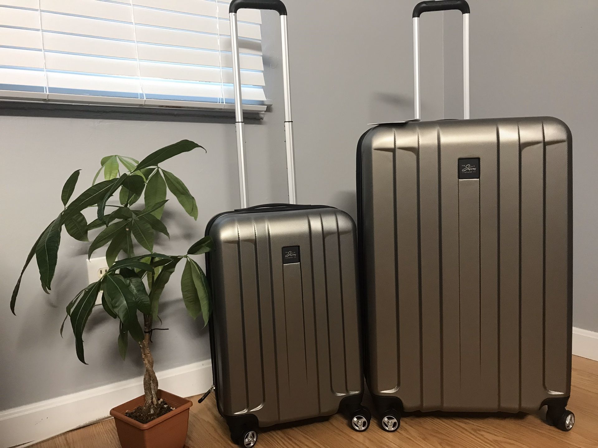 New Skyway luggage 2 PC , Gray color, hard side luggage