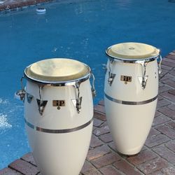 LP CONGAS  patato model, 30" high