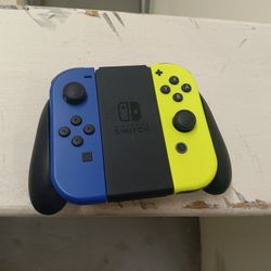 Nintendo Switch Controller 