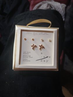 Earings 14k Plated