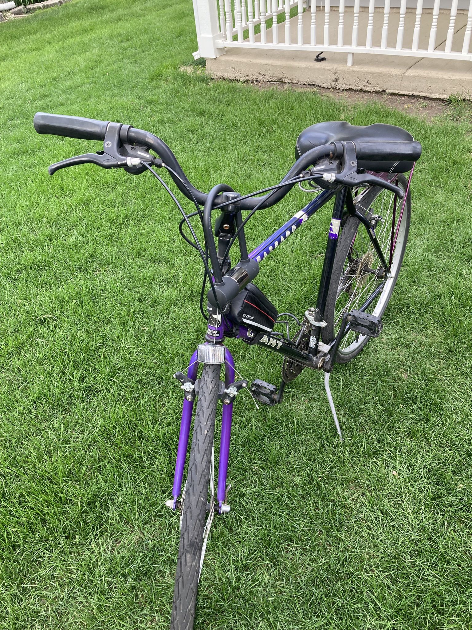 Giant Bike