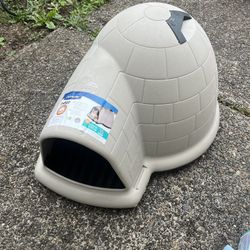 Dog Iglube