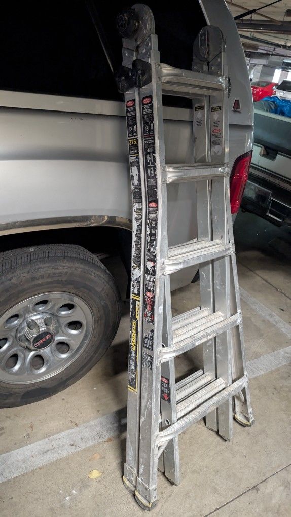 Gorilla Ladder