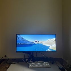 29" Monitor and arm