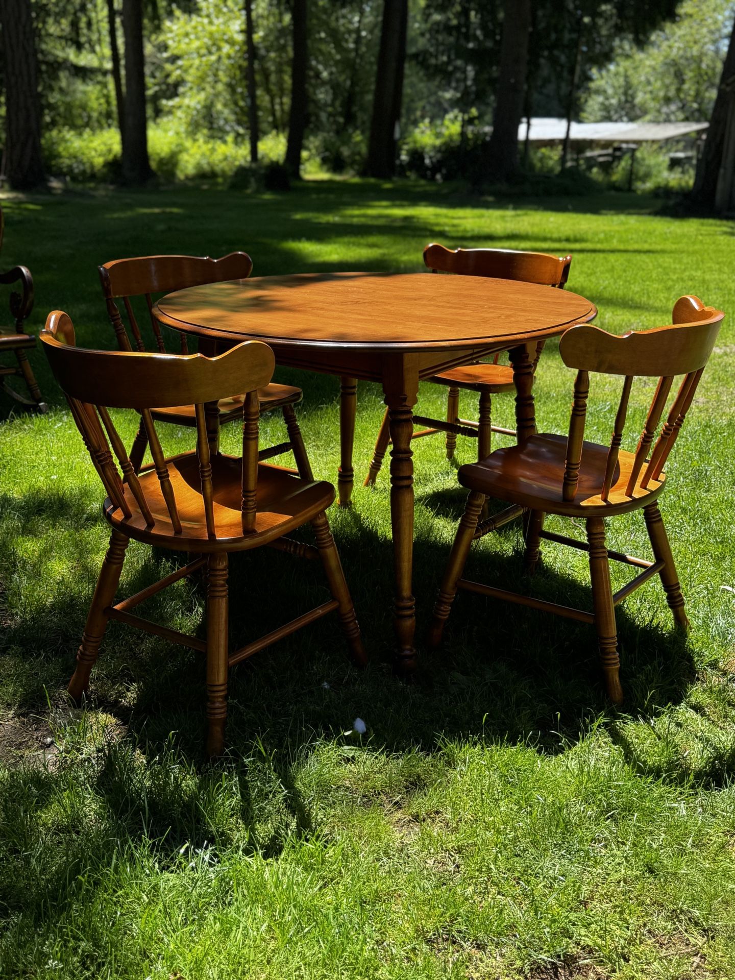 Tell City 1960’s Dining Set