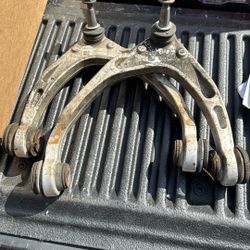 Upper Arms