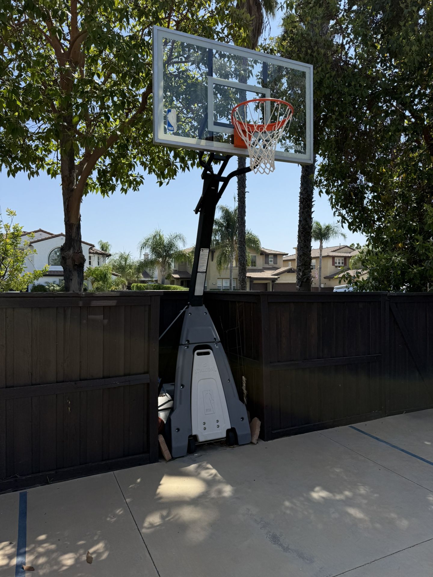 The Beast (Spalding) Basketball Hoop