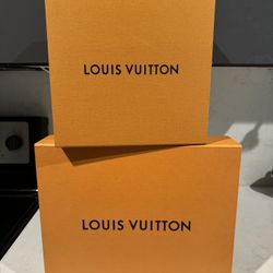 Louis Vuitton Boxes 