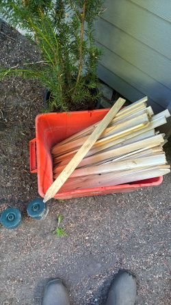 Plant Stakes / Labels