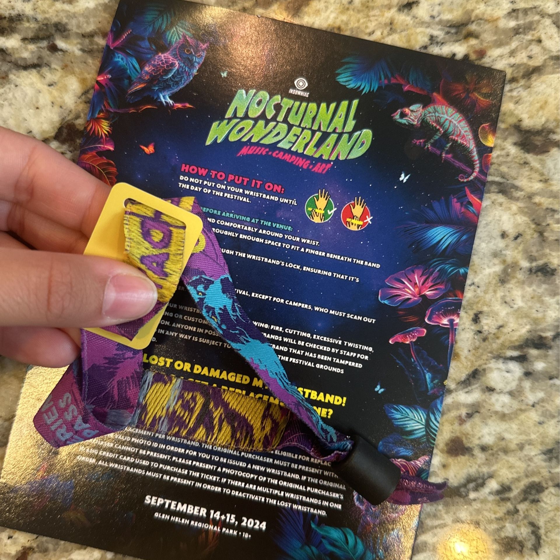Nocturnal Wonderland