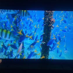 TV Sony 75” 4K UHD 