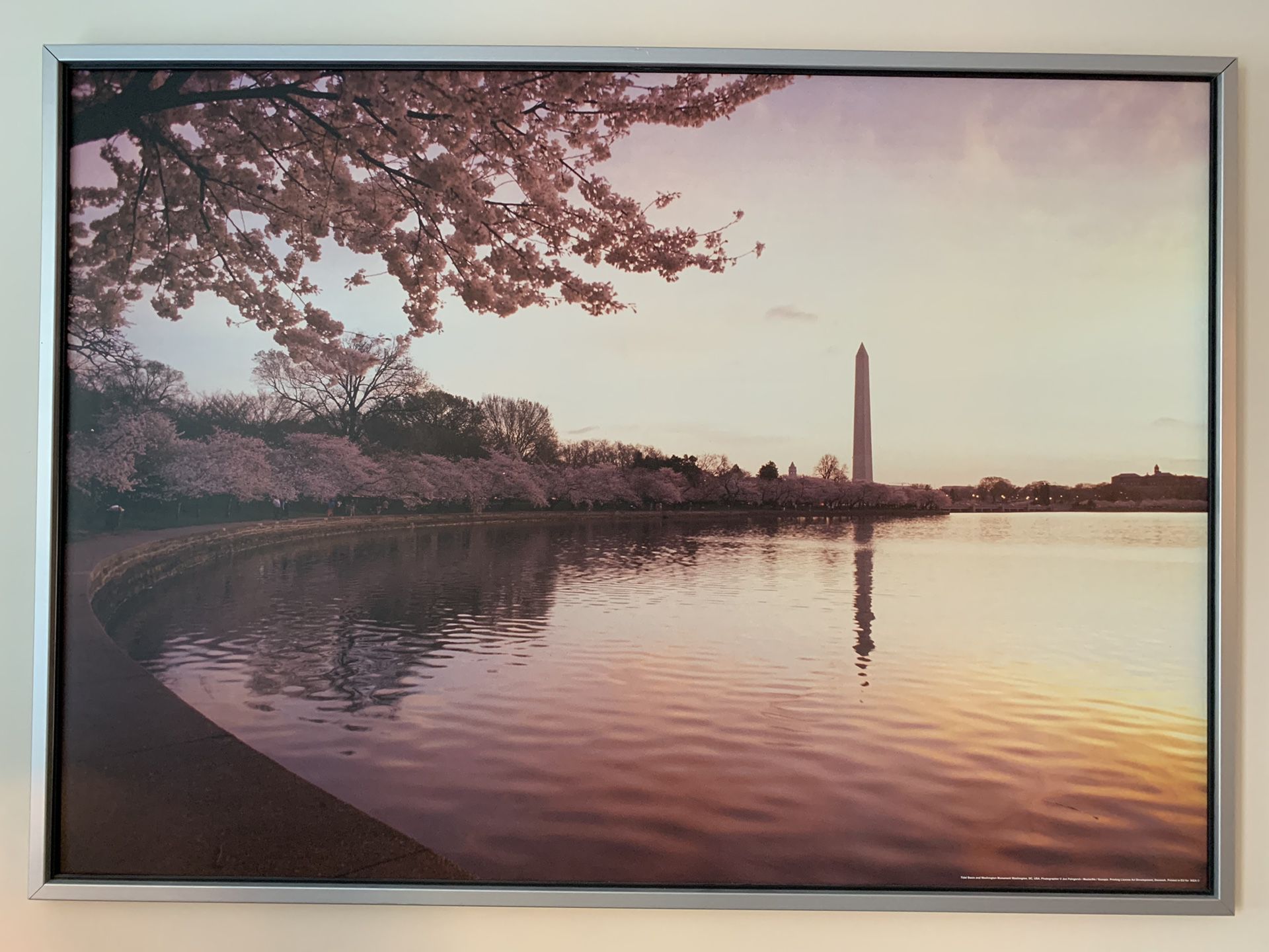 Huge IKEA Washington DC tidal basin print in frame