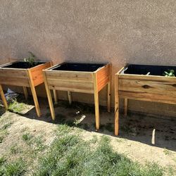 Raised Garden Beds With Dirt and Bin