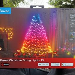 Govee Christmas String Lights