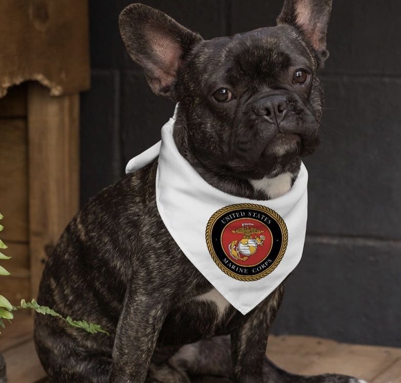 Marine Corps Dog Bandana (collar)