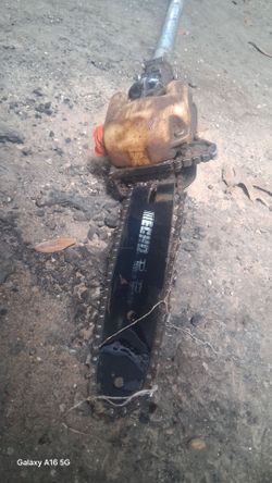 Echo pole saw