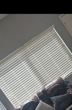 15 blinds  for sale different sizes