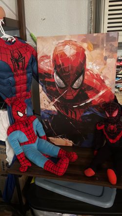 Limited edition Spider-Man Canvas