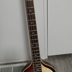 Jay Turser Violin Bass Guitar