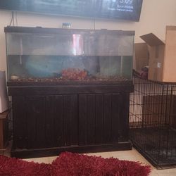 75 Gallon Aquarium/Miscellaneous Fish aquarium Items!