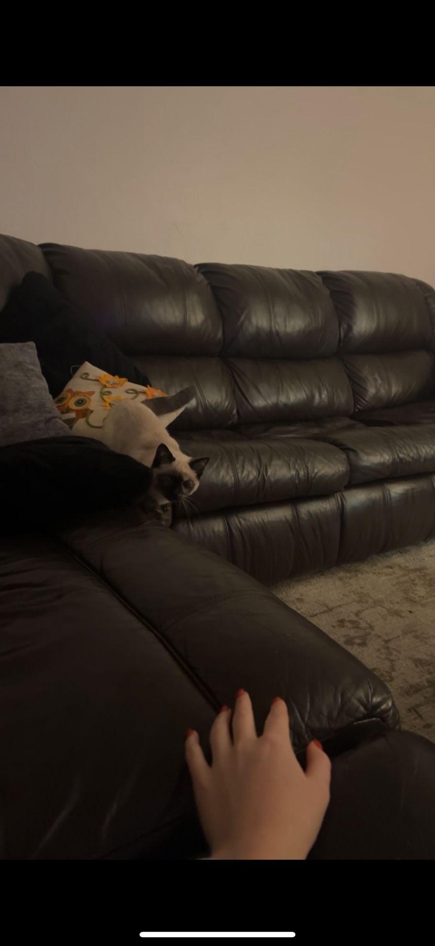 Big Leather Couch - Pull Out Beds