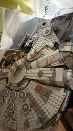 Millennial falcon, star wards