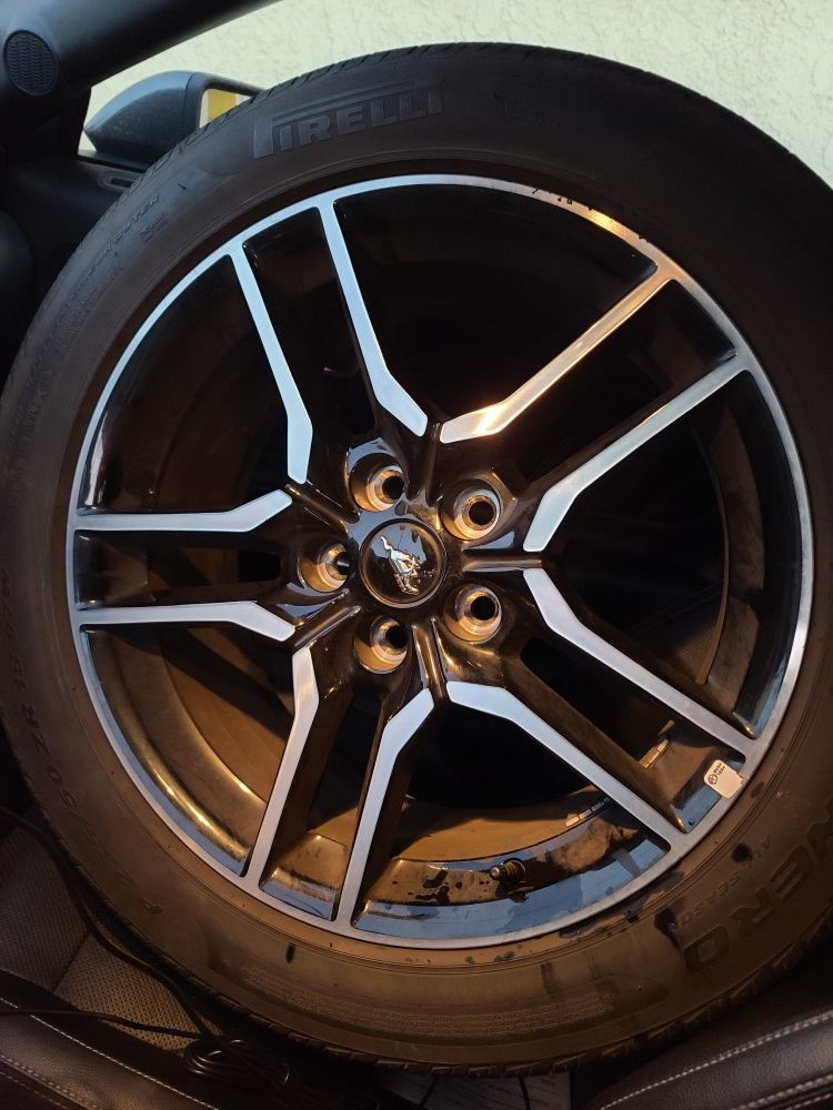 4X stock mustang rims and tires