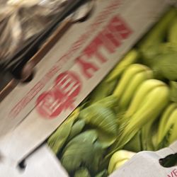 Free Produce Giveaway 