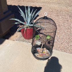 Hanging Bird Cage With Stand