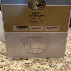Hampton Bay Ceiling Light