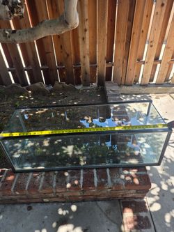 Reptile tank