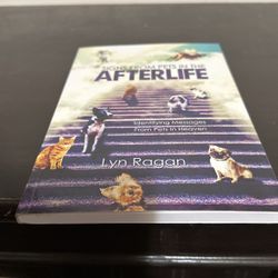 Signs From Pets In The After Life 