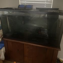 Fish Tank/aquarium 