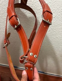 XL Leather Dog Harness