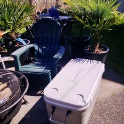 Excellent Colman Cooler