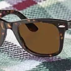 Ray Ban Sunglassed