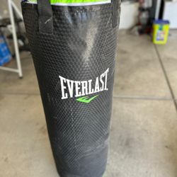 Everlast Heavy Bag 70 Lbs