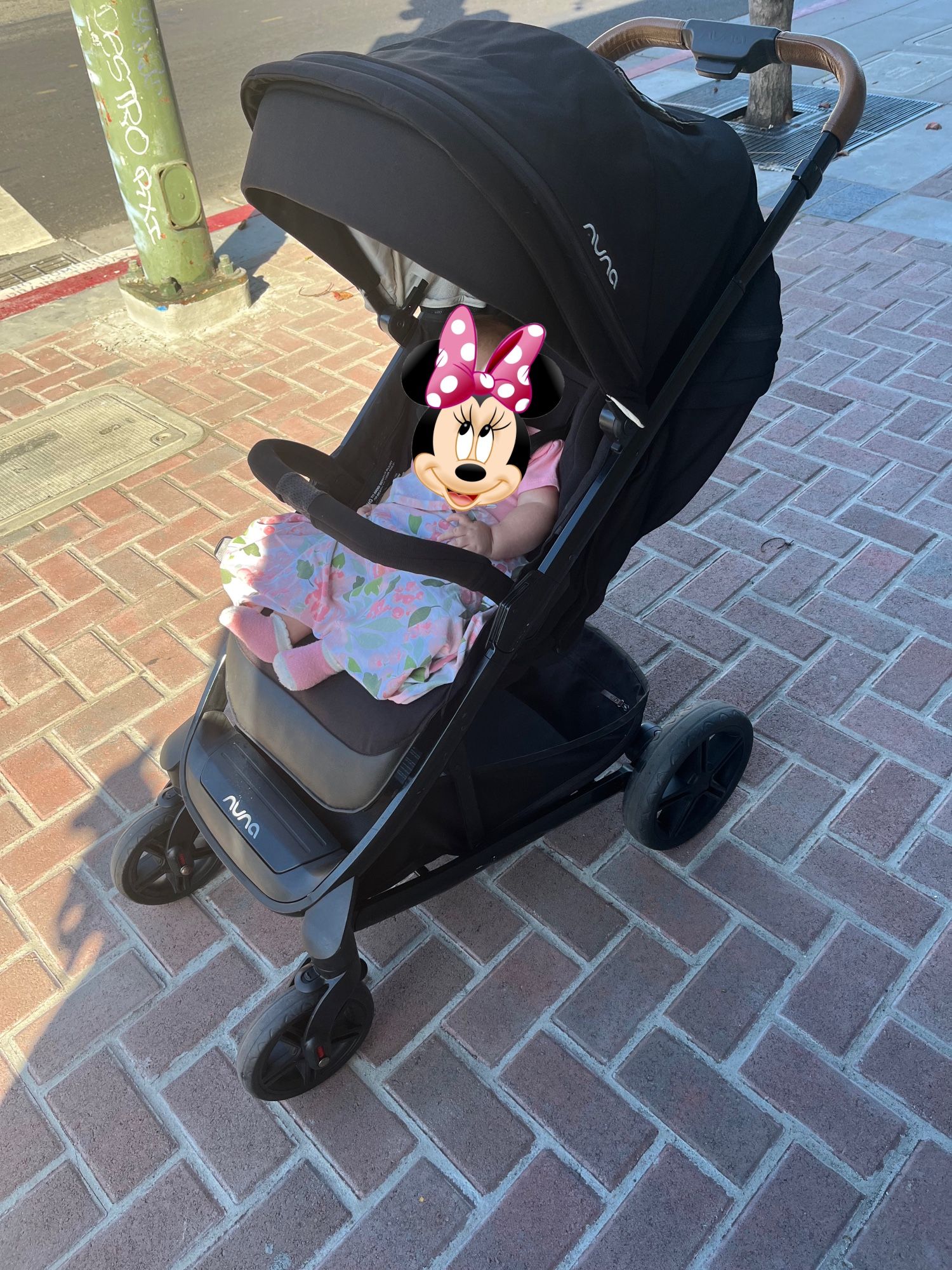 Nuna Tavo Stroller