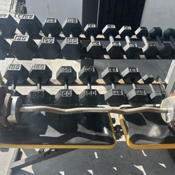 Dumbbells Curl Bar 40 Pounds And A Bench