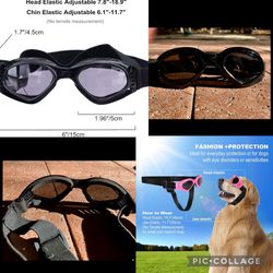 Black Dog Goggles w/ UV Protection - Medium