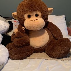 Stuffed Animals