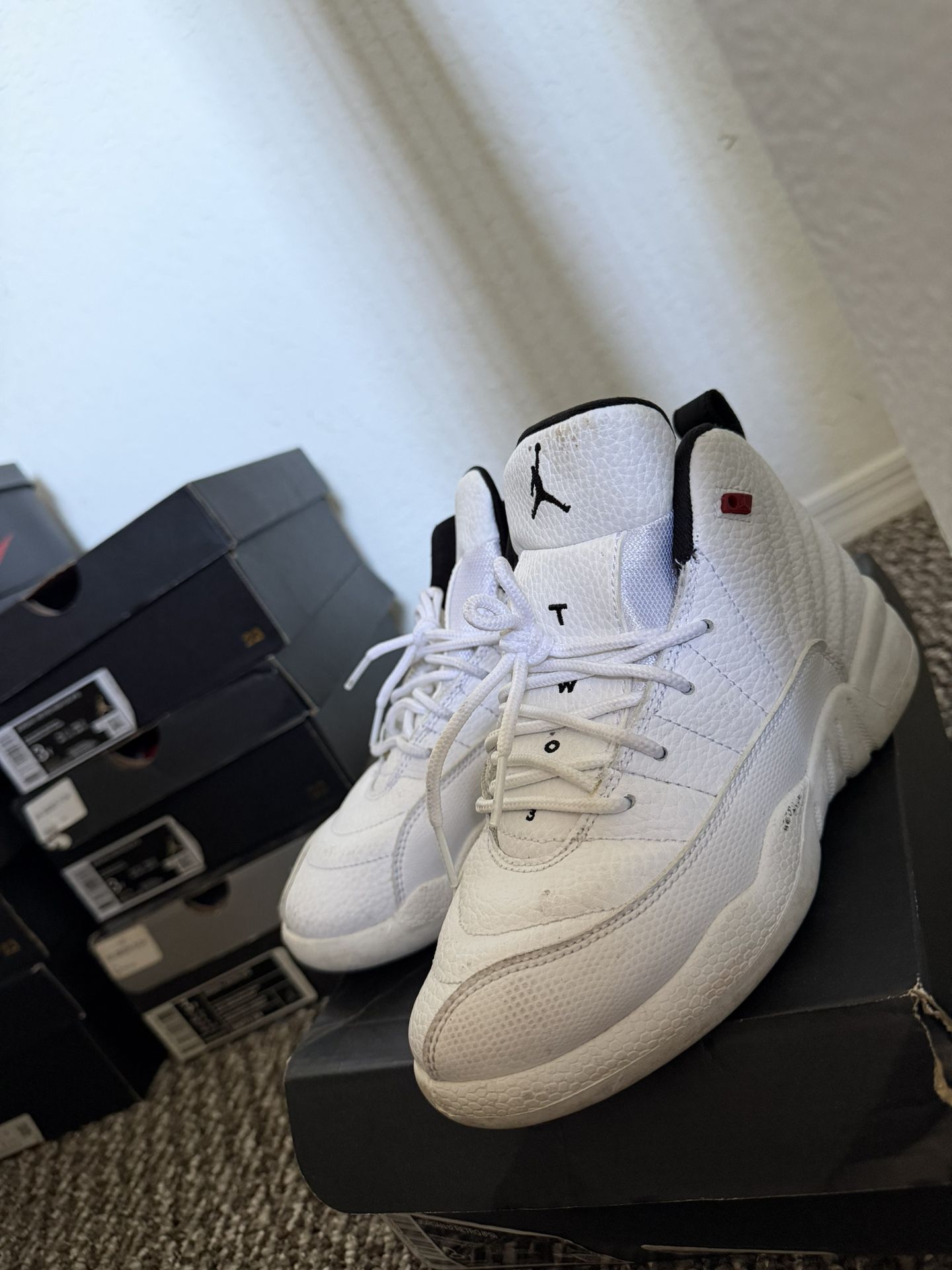 Jordan Retro 12