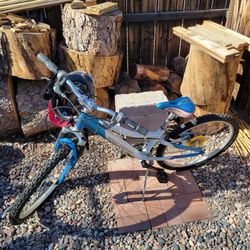 Gary Fisher 7 Speed Bike Used