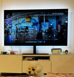 65" LG CX OLED 4K Smart TV + Swivel Tabletop Stand